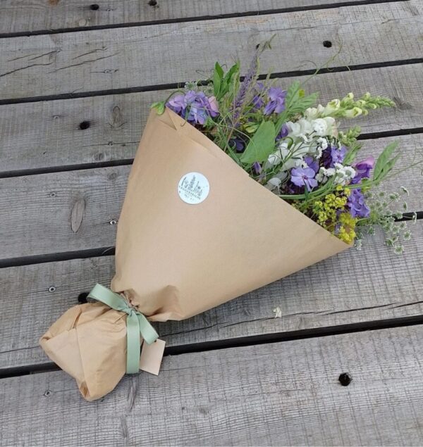 thumbnail 1 e1763034696544